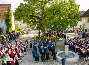 Bezirgsmusikfest 2019 Sternmarsch