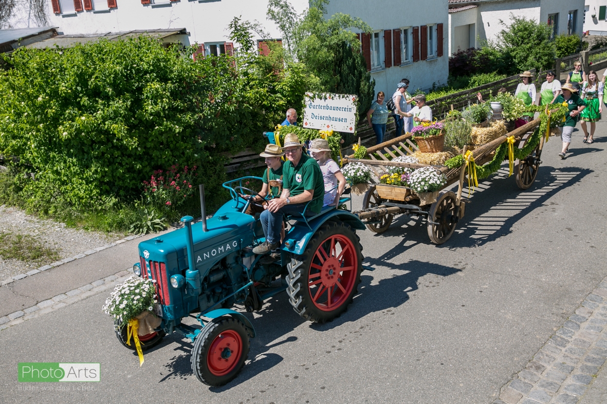 0237_festsonntag_mv_nattenhausen_img_0844_48019329401_o