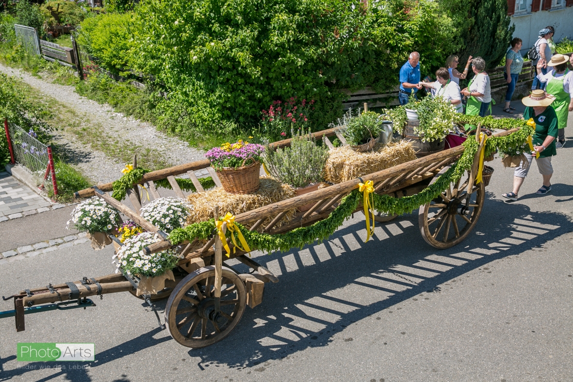 0238_festsonntag_mv_nattenhausen_img_0847_48019346303_o