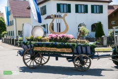 0184_festsonntag_mv_nattenhausen_img_0543_48019371576_o