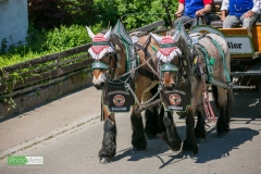 0196_festsonntag_mv_nattenhausen_img_0893_48019380358_o