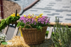 0233_festsonntag_mv_nattenhausen_img_0942_48019429607_o