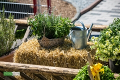 0234_festsonntag_mv_nattenhausen_img_0943_48019349378_o