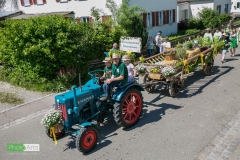 0237_festsonntag_mv_nattenhausen_img_0844_48019329401_o