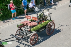 0248_festsonntag_mv_nattenhausen_img_0885_48019416527_o