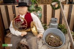 blasmusikcup_bezirksmusikfest-nattenhausen-2019-cup-12_0012_48014568086_o