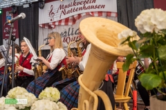 blasmusikcup_bezirksmusikfest-nattenhausen-2019-cup-193_0193_48014678218_o