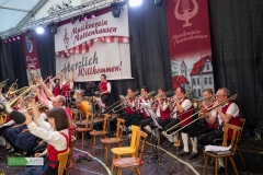 blasmusikcup_bezirksmusikfest-nattenhausen-2019-cup-236_0236_48014693076_o