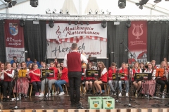 blasmusikcup_bezirksmusikfest-nattenhausen-2019-cup-250_0250_48014791192_o