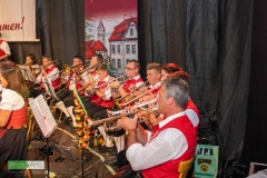 blasmusikcup_bezirksmusikfest-nattenhausen-2019-cup-382_0382_48014779883_o