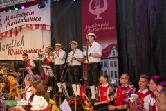 blasmusikcup_bezirksmusikfest-nattenhausen-2019-cup-399_0399_48014779171_o