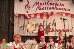 blasmusikcup_bezirksmusikfest-nattenhausen-2019-cup-448_0448_48014804766_o