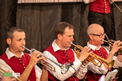 blasmusikcup_bezirksmusikfest-nattenhausen-2019-cup-505_0505_48014554063_o