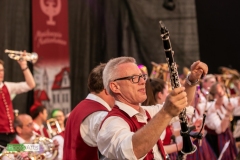 blasmusikcup_bezirksmusikfest-nattenhausen-2019-cup-507_0507_48014631142_o