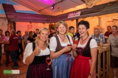 blasmusikcup_bezirksmusikfest-nattenhausen-2019-cup-512_0512_48014627972_o