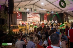 blasmusikcup_bezirksmusikfest-nattenhausen-2019-cup-541_0541_48014613972_o