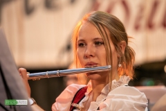 blasmusikcup_bezirksmusikfest-nattenhausen-2019-cup-545_0545_48014520876_o