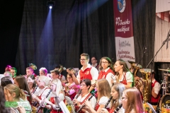 blasmusikcup_bezirksmusikfest-nattenhausen-2019-cup-554_0554_48014606437_o