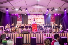 blasmusikcup_bezirksmusikfest-nattenhausen-2019-cup-564_0564_48014601812_o