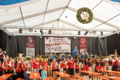 blasmusikcup_bezirksmusikfest-nattenhausen-2019-cup-61_0061_48014687207_o