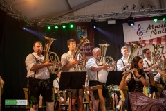 blasmusikcup_bezirksmusikfest-nattenhausen-2019-cup-624_0624_48014568617_o