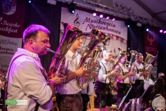 blasmusikcup_bezirksmusikfest-nattenhausen-2019-cup-625_0625_48014476901_o