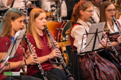 blasmusikcup_bezirksmusikfest-nattenhausen-2019-cup-634_0634_48014483263_o