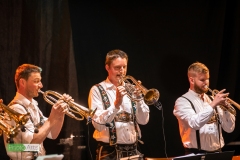 blasmusikcup_bezirksmusikfest-nattenhausen-2019-cup-660_0660_48014544852_o